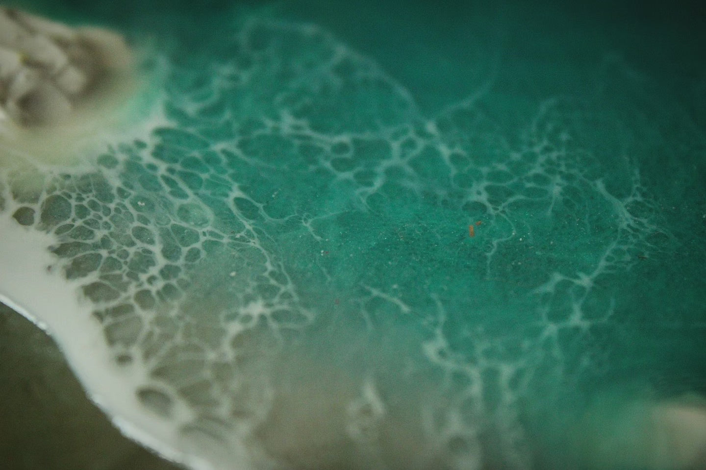 Vast Ocean 🌊